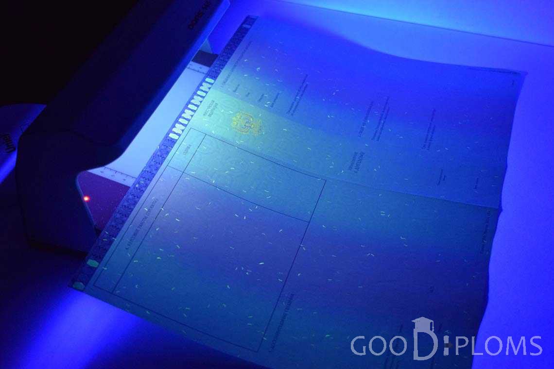 Приложение к Диплому Магистра в Ультрафиолете в период c 2014 по 2025 год - Новокузнецк
