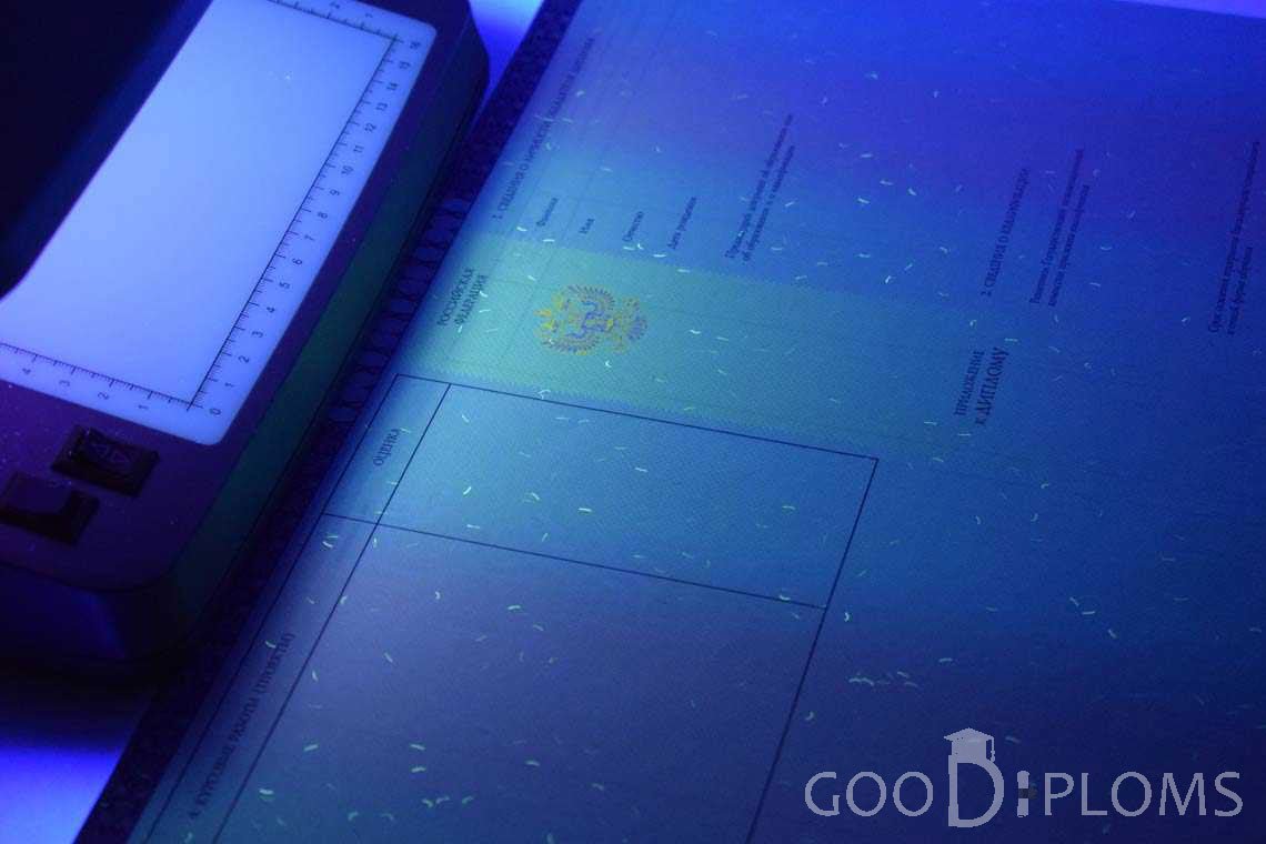 Приложение к Диплому о Высшем Образовании с Отличием в Ультрафиолете - Новокузнецк